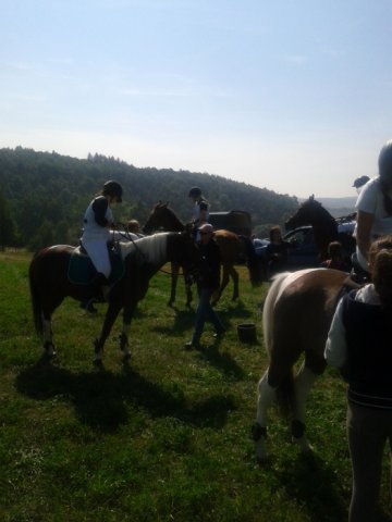 Rajd Minoga 2015